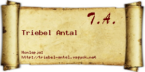 Triebel Antal névjegykártya
